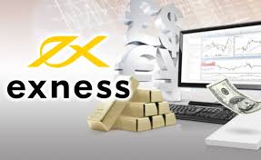 Exploring Exness Micro Accounts A Beginner's Guide Exploring Exness Micro Accounts A Beginner's Guide